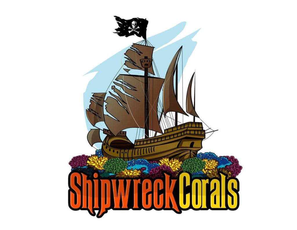 Shipwreck Corals